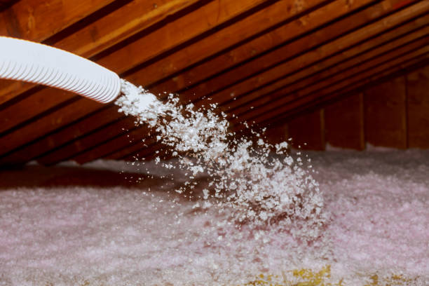 Best Commercial Insulation in Abram, TX
