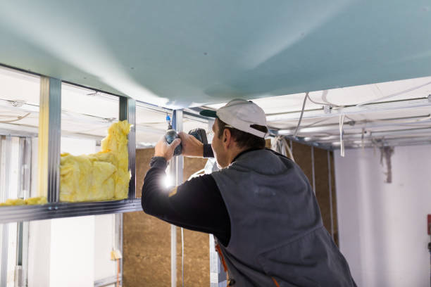 Best Geographic-Specific Insulation Services in Abram, TX
