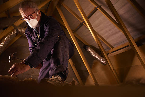 Best Eco-Friendly Insulation in Abram, TX