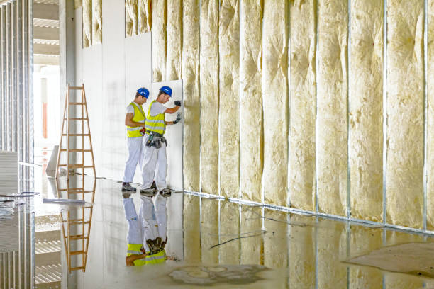 Best Energy Efficiency Insulation in Abram, TX